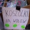Takie tam "koszólki"