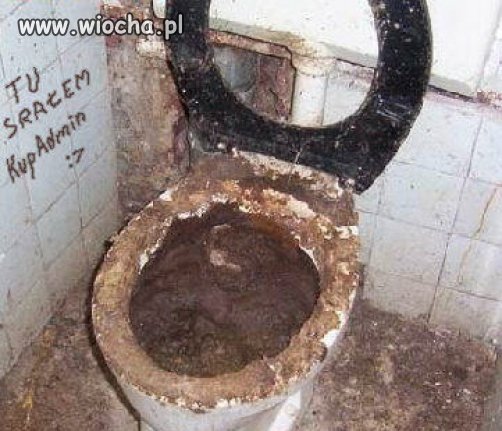 Taki tam kibel