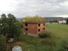 Ekologiczny dach