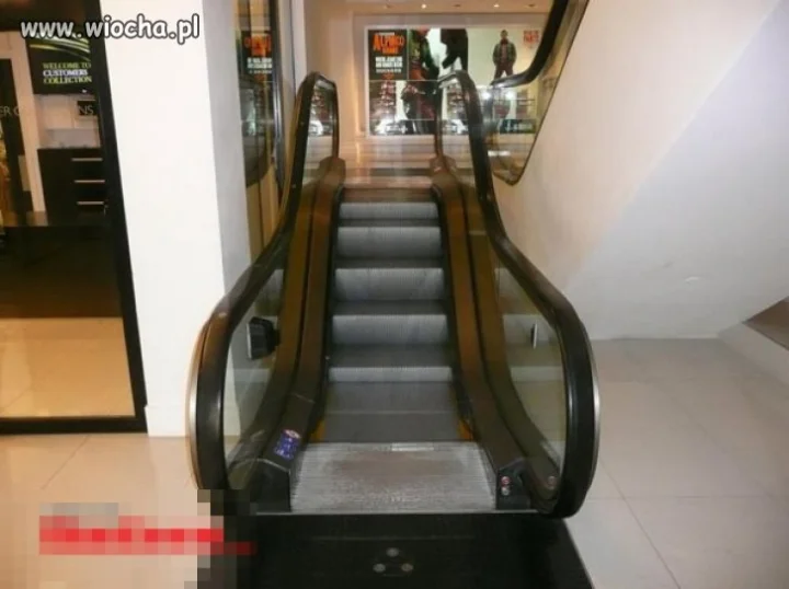Dla zmęczonych galerianek. . . 