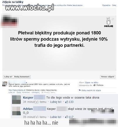 Płetwal Błękitny produkuje... 