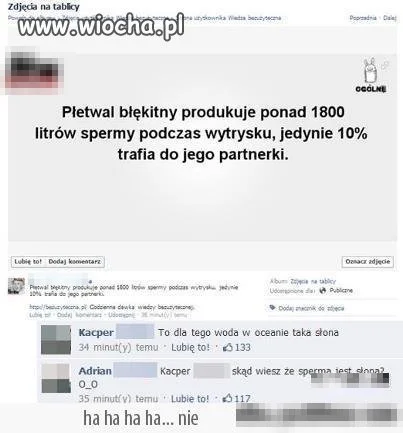 Płetwal Błękitny produkuje... 