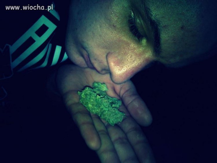 Z serii JP
