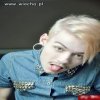 Nowy styl 2012