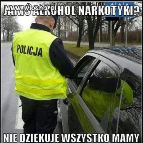 Pomocni stróże prawa