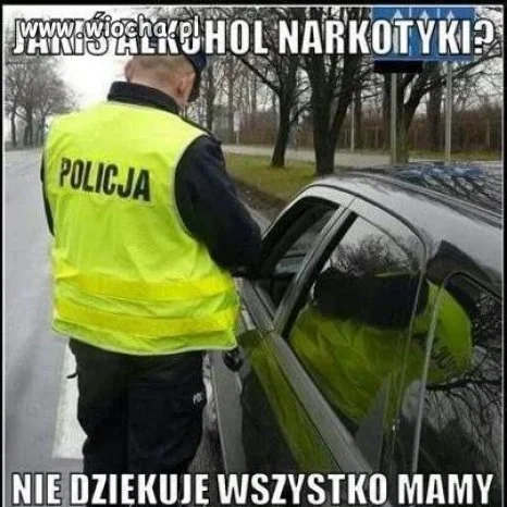 Pomocni stróże prawa