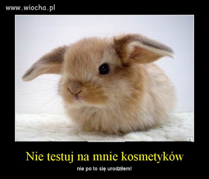 Człowiek - gatunek dominujący