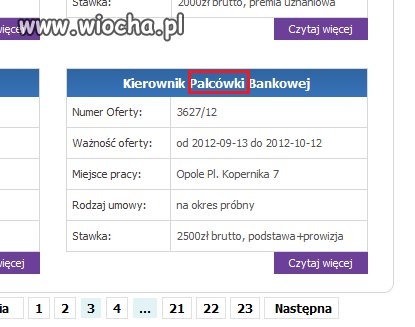 Kierownik PALCÓWKI bankowej,