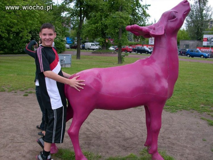 Pedober ujeżdza jelonka