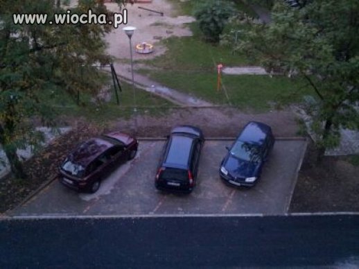 Mistrzowie Parkowania