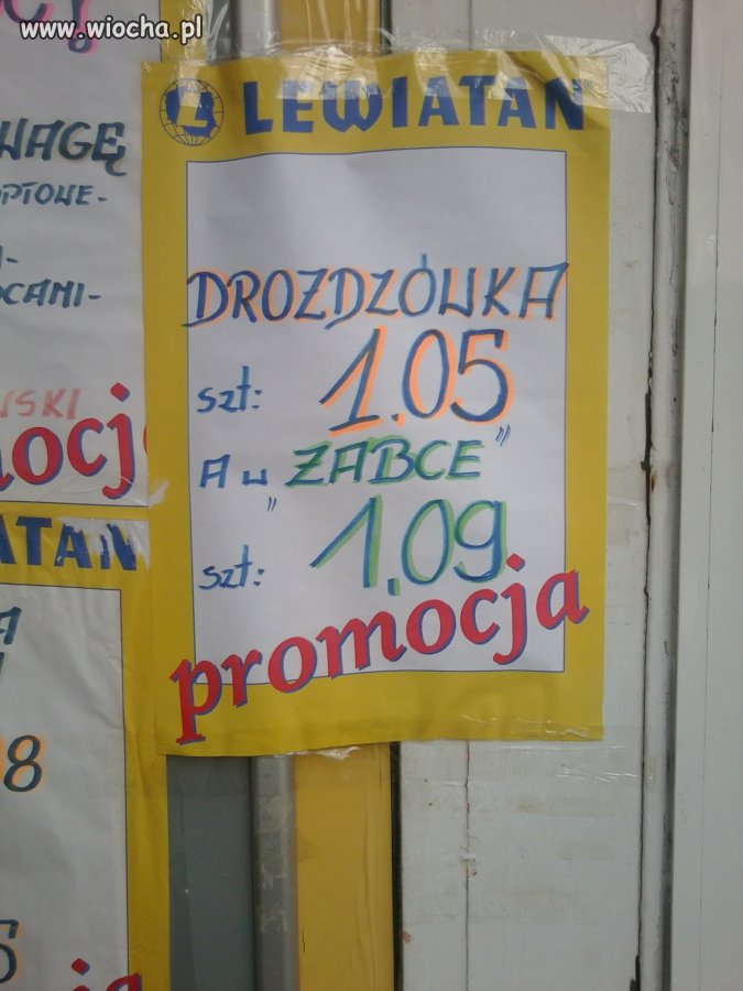 Promocja Lewiatana 