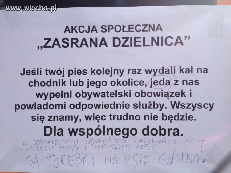 ZASRANA DZIELNICA - SOPOT