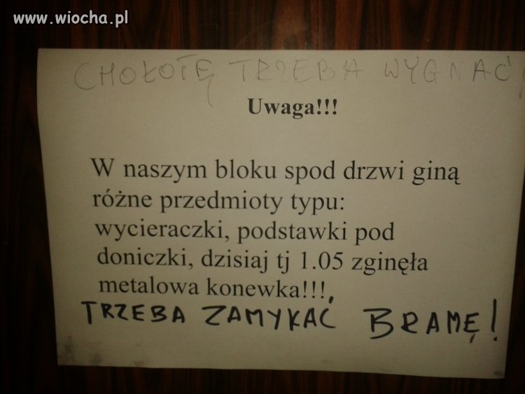 Blokowy złodziej