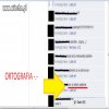Ortografia Polaków