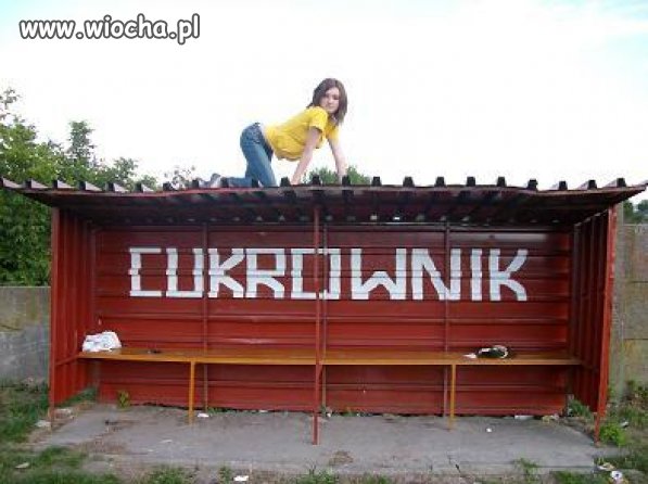 Zdjęcie z seri WTF ??? 