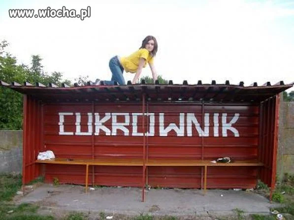 Zdjęcie z seri WTF ??? 