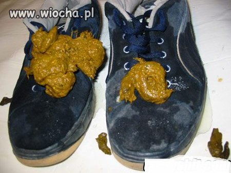 Bo nie chciało mi się wyjść z psem
