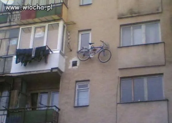 Bo w Polscę kradną
