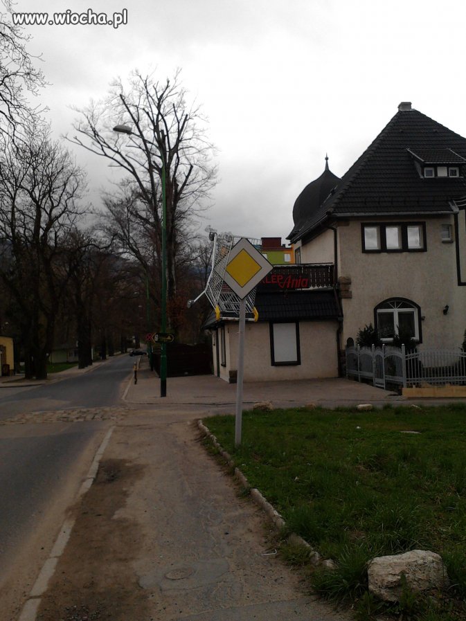 Polak potrafi