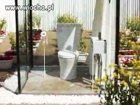 Szklarnia?