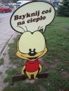 Bzyknąć cieplo do Lublina