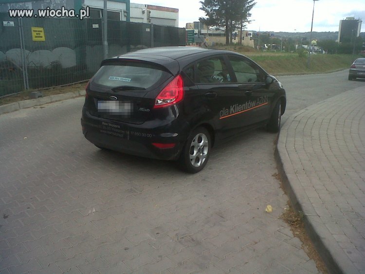 Mistrzyni parkowania