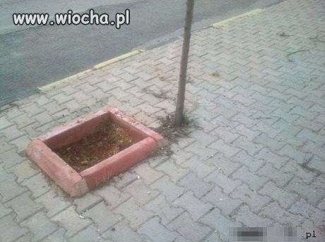 Prawie, prawie...