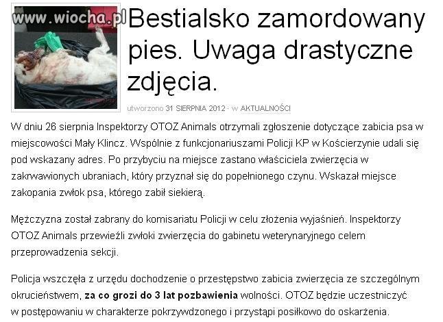 Człowiek bez serca