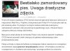 Człowiek bez serca