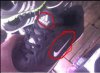 Adidas czy nike . ? 