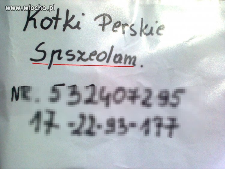 No tak "spszedam"