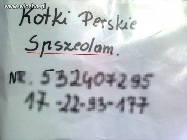 No tak "spszedam"