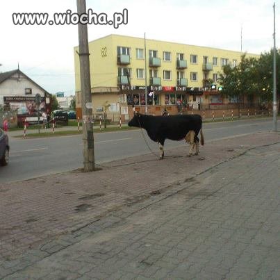 Moje miasto wkracza w XXI w.