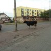Moje miasto wkracza w XXI w.