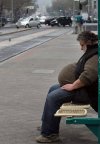 Każdy ptaszek ma swój daszek