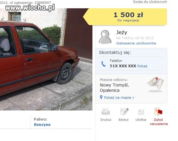 Zlokalizowałem jeża jerzego 