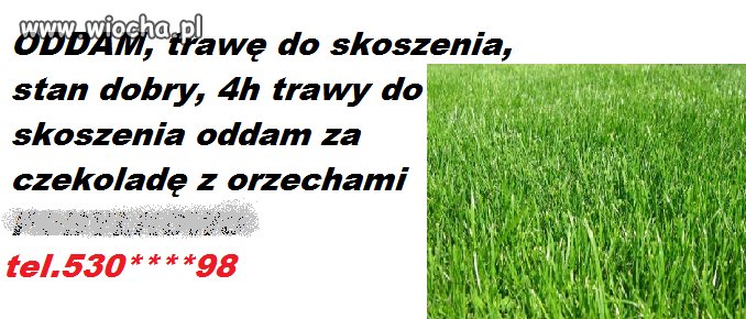 Oddam za free