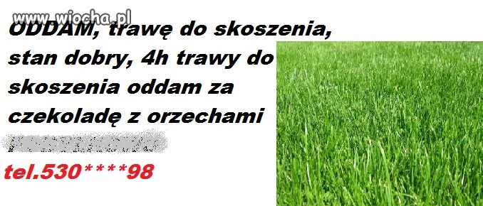 Oddam za free