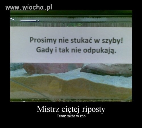 Mistrz ciętej riposty