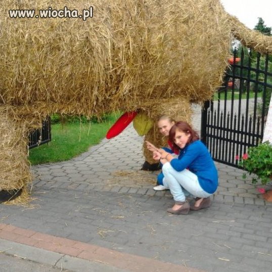 Co się dzieje z tymi nastolatkami