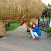 Co się dzieje z tymi nastolatkami