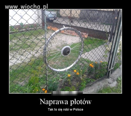 Polak potrafi.
