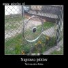Polak potrafi.