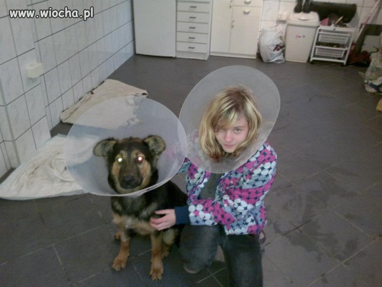 Sami oceńcie ...