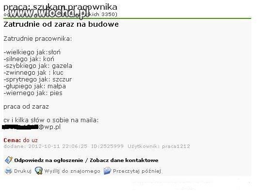 Pracownik poszukiwany 