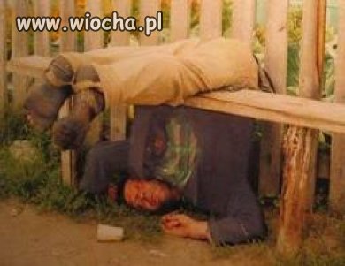 Wiesiek wieczorem