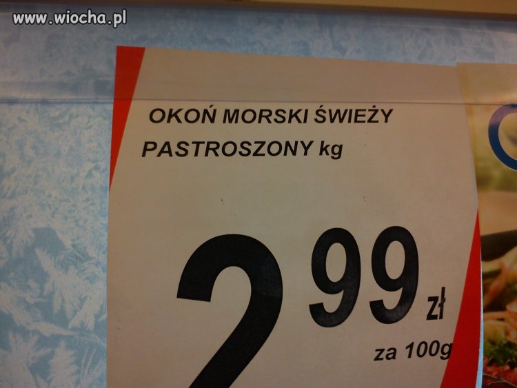 Okoń morski świeży PASTROSZONY ...