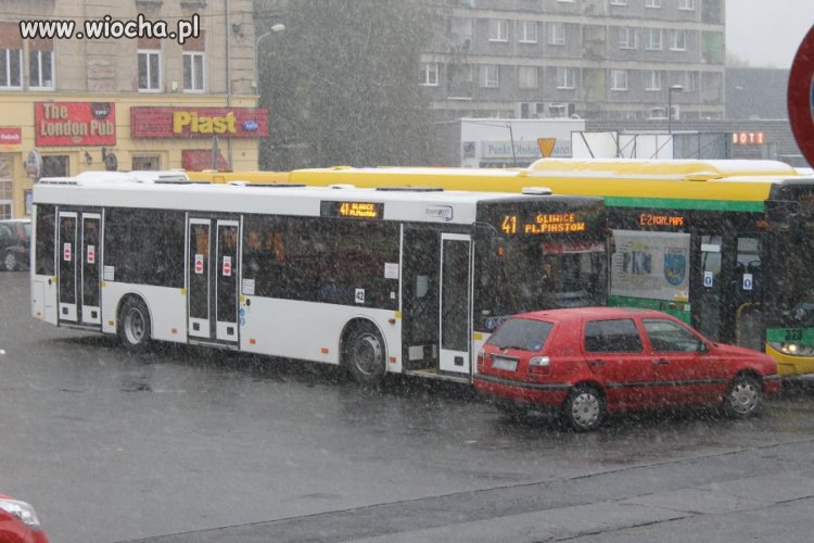 Mistrz parkowania. 