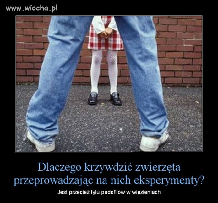 Po co eksperymentować na zwierzętach