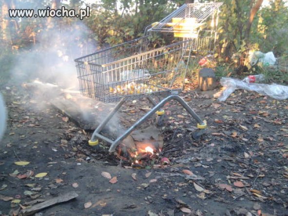 Grill z wózka z Biedronki 